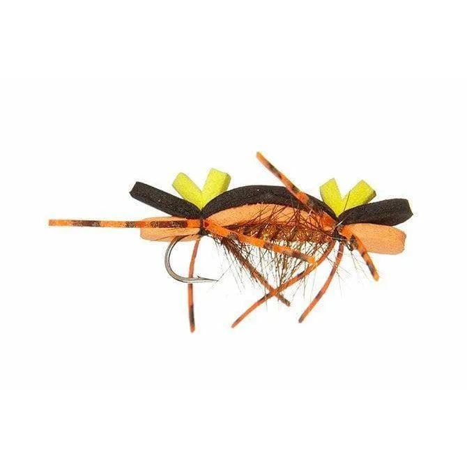 Chernobyl Ant - Black/Orange