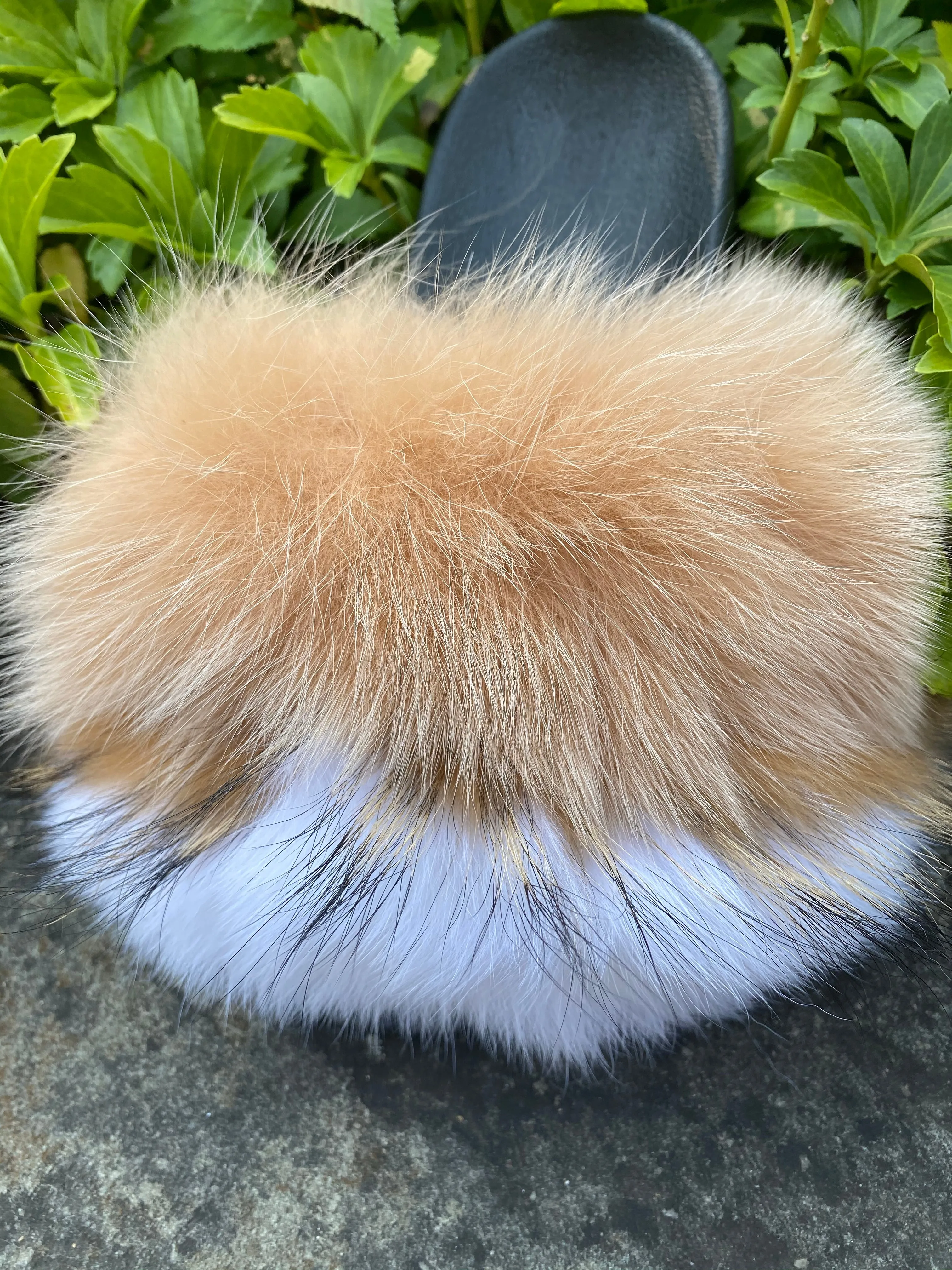 Latte Furr Slides